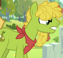 Size: 1000x912 | Tagged: safe, screencap, cinnamon pear, cornice pear, grand pear, earth pony, pony, g4, the perfect pear, angry, background pony, bandana, cropped, feud, food, male, neckerchief, pear, pear family, pear family member, pear tree, shiny concorde, solo focus, stallion