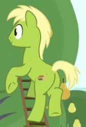 Size: 186x275 | Tagged: safe, screencap, pear pie, earth pony, pony, g4, the perfect pear, background pony, butt, cropped, food, ladder, male, name suggestion in the comments, pear, pear family member, pear tree, plot, solo, stallion, underhoof