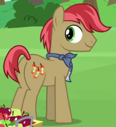 Size: 390x425 | Tagged: safe, screencap, apples snack, earth pony, pony, g4, the perfect pear, apple, apple family member, background pony, bandana, basket, bushel basket, butt, cropped, food, looking back, male, plot, solo, stallion