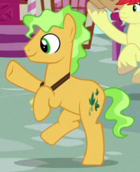 Size: 240x295 | Tagged: safe, screencap, bright mac, ivy jive, earth pony, pony, g4, the perfect pear, background pony, cropped, male, solo focus, stallion