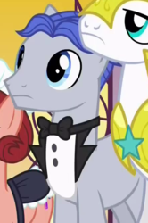 Size: 444x669 | Tagged: safe, screencap, cobalt stone, red ribbons, earth pony, pony, a royal problem, g4, background pony, butler, cropped, female, male, mare, royal guard, solo focus, stallion
