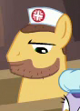 Size: 88x122 | Tagged: safe, screencap, pony, g4, where the apple lies, background pony, beard, cropped, facial hair, hat, male, nurse, nurse hat, picture for breezies, solo, stallion, unnamed character, unnamed pony