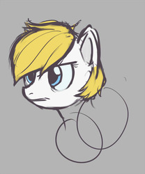 Size: 629x755 | Tagged: safe, artist:anonymous, oc, oc only, oc:aryanne, aryan pony, concept art, head, sketch, wip