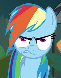 Size: 683x868 | Tagged: safe, screencap, quibble pants, rainbow dash, pony, g4, stranger than fan fiction, angry, cropped, faic, solo focus