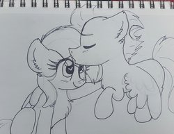 Size: 1200x928 | Tagged: safe, artist:lbrcloud, rainbow dash, soarin', pony, g4, female, forehead kiss, heart eyes, male, meta, monochrome, ship:soarindash, shipping, sketch, straight, traditional art, wingding eyes