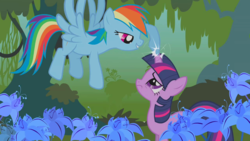 Size: 1279x720 | Tagged: safe, screencap, rainbow dash, twilight sparkle, pegasus, pony, unicorn, bridle gossip, g4, everfree forest, flower, flying, forest, plant, poison joke, poison joke field, poking, unicorn twilight