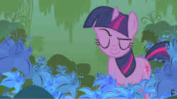 Size: 1280x721 | Tagged: safe, screencap, twilight sparkle, pony, unicorn, bridle gossip, g4, everfree forest, female, flower, forest, mare, plant, poison joke, poison joke field, raised eyebrow, smuglight sparkle, solo, unicorn twilight