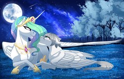 Size: 2560x1638 | Tagged: artist needed, source needed, safe, princess celestia, oc, oc:light knight, alicorn, pegasus, pony, g4, canon x oc, female, forest, lightestia, looking at each other, male, mare, moon, night, shipping, stallion, straight