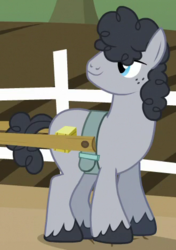 Size: 330x468 | Tagged: safe, screencap, coal runner, earth pony, pony, g4, where the apple lies, background pony, cropped, freckles, male, solo, stallion, unshorn fetlocks