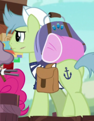 Size: 354x454 | Tagged: safe, screencap, anchors aweigh, pinkie pie, earth pony, pony, g4, ppov, butt, cropped, male, plot, saddle bag, sailor, scar, stallion, stitches
