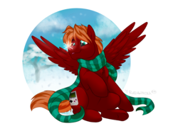Size: 2400x1776 | Tagged: safe, artist:rudazmora, oc, oc only, oc:score chaser, pegasus, pony, clothes, green eyes, male, red, scarf, simple background, sitting, snow, snowflake, solo, stallion, stripes, transparent background