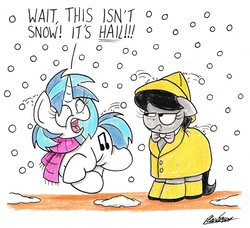 Size: 1775x1621 | Tagged: safe, artist:bobthedalek, dj pon-3, octavia melody, vinyl scratch, earth pony, pony, unicorn, g4, clothes, duo, female, hail, hat, mare, octavia is not amused, raincoat, scarf, simple background, traditional art, unamused, white background