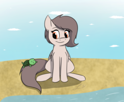 Size: 500x413 | Tagged: safe, artist:dannylexxbang, oc, oc only, oc:santanna, pegasus, pony, turtle, beach, cute, day, request, sand, smiling, solo