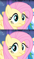 Size: 970x1664 | Tagged: safe, edit, edited screencap, screencap, fluttershy, rainbow dash, pegasus, pony, equestria girls, g4, my little pony equestria girls, cropped, female, flipped, frown, funny, looking at you, mare, meme, monkey puppet, pink hair, pink mane, ponified meme, reaction, reaction image, solo focus, spread wings, wings, wtf, yellow body, yellow coat, yellow fur, yellow pony, yellow wings