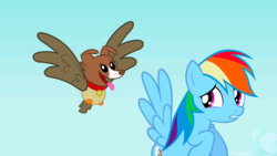 Size: 1280x720 | Tagged: safe, screencap, owlowiscious, rainbow dash, winona, chimera, pegasus, pony, g4, may the best pet win, allpet, collar, dog collar, dream, flying, panting, tongue out