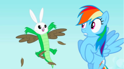 Size: 1281x719 | Tagged: safe, screencap, gummy, owlowiscious, rainbow dash, alligator, chimera, pegasus, pony, g4, may the best pet win, allpet, dream, feather, flying