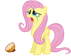 Size: 1026x807 | Tagged: safe, artist:marcusvanngriffin, fluttershy, pegasus, pony, g4, crying, female, fluttercry, food, mare, onion, open mouth, simple background, transparent background