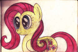 Size: 877x587 | Tagged: safe, artist:mfg637, fluttershy, pony, g4, female, solo, traditional art