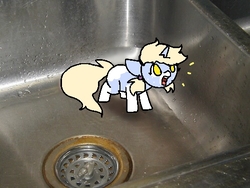 Size: 500x375 | Tagged: safe, artist:nootaz, oc, oc only, oc:nootaz, pony, unicorn, cute, female, filly, floppy ears, open mouth, ponified animal photo, silly, sink, solo, stuck, tiny ponies