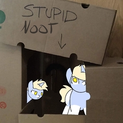 Size: 1136x1136 | Tagged: safe, artist:nootaz, oc, oc only, oc:nootaz, pony, unicorn, behaving like a cat, box, cardboard box, clone, female, frown, glare, looking up, mare, micro, noot abuse, ponified animal photo, wide eyes