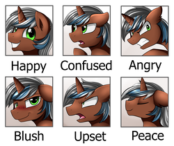 Size: 2349x1978 | Tagged: safe, artist:pridark, oc, oc only, pony, unicorn, :t, angry, bedroom eyes, blushing, confused, ear fluff, emotions, eyes closed, floppy ears, frown, glare, grin, happy, heart, heart eyes, looking at you, male, raised eyebrow, smiling, squee, stallion, wingding eyes