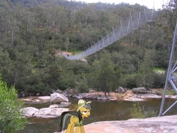 Size: 799x597 | Tagged: safe, artist:didgereethebrony, daring do, pony, g4, australia, bridge, cable bridge, irl, photo, ponies in real life, river, rope bridge, six foot track, solo