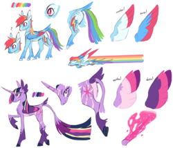 Size: 2631x2251 | Tagged: safe, artist:xenon, rainbow dash, twilight sparkle, alicorn, pony, g4, alternate cutie mark, alternate design, cloven hooves, coat markings, duo, female, glowing horn, high res, horn, leonine tail, magic, magic aura, mare, question mark, redesign, reference sheet, simple background, tail feathers, twilight sparkle (alicorn), underhoof, unshorn fetlocks, white background
