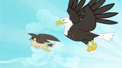 Size: 1284x721 | Tagged: safe, screencap, bald eagle, bird, eagle, falcon, peregrine falcon, g4, may the best pet win, bird of prey, flying, majestic, sky