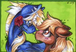 Size: 1024x710 | Tagged: safe, artist:scootiegp, oc, oc only, oc:kamix, oc:tachick, earth pony, pegasus, pony, age difference, blushing, flower, flower in mouth, gay, height difference, male, rose, rose in mouth, shipping, signature, simple background, smiling, stallion
