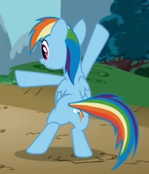 Size: 383x448 | Tagged: safe, screencap, rainbow dash, pony, g4, griffon the brush off, my little pony: friendship is magic, butt, female, plot, rainbutt dash, rear view, solo, standing