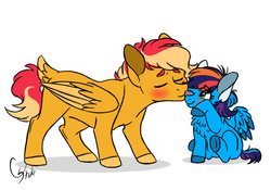 Size: 1024x715 | Tagged: safe, artist:colourstrike, oc, oc only, oc:chrysanthos, oc:glider, pegasus, pony, blushing, cheek kiss, chest fluff, colt, eyes closed, female, filly, kissing, larger male, male, oc x oc, offspring, offspring shipping, one eye closed, parent:big macintosh, parent:fluttershy, parent:rainbow dash, parent:soarin', parents:fluttermac, parents:soarindash, shipping, simple background, smaller female, straight, tail feathers, white background