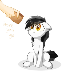 Size: 2000x2200 | Tagged: safe, artist:morningbullet, oc, oc only, earth pony, human, pony, cute, disembodied hand, female, hand, high res, mare, ocbetes, simple background, wallet, white background