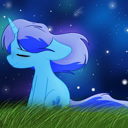 Size: 2200x2200 | Tagged: artist needed, safe, oc, oc only, oc:spacelight, pony, unicorn, female, grass, high res, mare, night, solo, stars