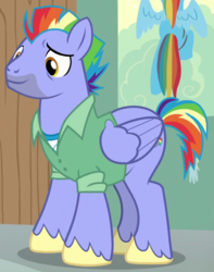 Size: 543x688 | Tagged: safe, screencap, bow hothoof, pegasus, pony, g4, parental glideance, cropped, male, solo, stallion