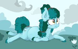 Size: 3151x1991 | Tagged: safe, artist:paskanaakka, derpibooru exclusive, oc, oc only, oc:gleamblossom, earth pony, pony, butt freckles, chest fluff, cloud, colored hooves, ear fluff, female, flower, freckles, lying down, mare, pregnant, prone, raised eyebrow, solo, tail wrap, unshorn fetlocks