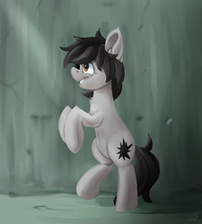 Size: 1800x2000 | Tagged: safe, artist:passigcamel, oc, oc only, earth pony, pony, male, solo, stallion