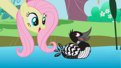 Size: 1281x720 | Tagged: safe, screencap, fluttershy, avian, bird, loon, pegasus, pony, g4, the ticket master, animal, birb, bird house, female, long neck, mare, open mouth, solo