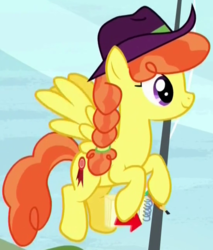 Size: 553x649 | Tagged: safe, screencap, record high, pegasus, pony, appleoosa's most wanted, g4, cowboy hat, cropped, female, flying, hat, mare, solo