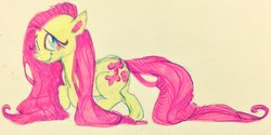 Size: 1024x513 | Tagged: safe, artist:crazyraisin, fluttershy, pegasus, pony, g4, female, looking at you, looking sideways, smiling, solo, traditional art, walking, wingless