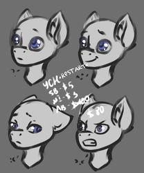 Size: 2500x3000 | Tagged: safe, artist:fkk, oc, oc only, pony, auction, commission, emotion, emotions, high res, male, sketch, solo, stallion, ych example, your character here