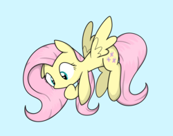 Size: 2000x1577 | Tagged: safe, artist:latie, derpibooru exclusive, fluttershy, pegasus, pony, g4, blue background, curious, cute, female, hoof on chin, looking at something, looking down, mare, no mouth, no nose, shyabetes, simple background, solo, spread wings, wings