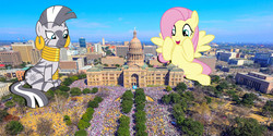 Size: 3200x1600 | Tagged: safe, artist:slb94, artist:theotterpony, fluttershy, zecora, pegasus, pony, zebra, g4, austin, city, crowd, female, giant ponies in real life, giant pony, giant zebra, giantess, highrise ponies, irl, macro, mare, mega zecora, photo, ponies in real life, texas