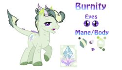 Size: 2237x1296 | Tagged: safe, artist:galaxyswirlsyt, oc, oc only, oc:burnity, dracony, hybrid, interspecies offspring, offspring, parent:rarity, parent:spike, parents:sparity, reference sheet, simple background, solo, transparent background