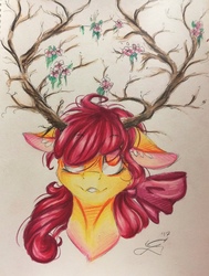 Size: 2591x3419 | Tagged: safe, artist:scootiegp, apple bloom, deer pony, earth pony, original species, pony, g4, antlers, bow, bust, female, filly, floppy ears, flower, foal, high res, horns, looking up, mare, portrait, red mane, simple background, smiling, solo, traditional art, white background, yellow fur