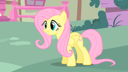 Size: 1280x720 | Tagged: safe, screencap, fluttershy, pegasus, pony, g4, stare master, cute, female, shyabetes, solo