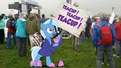 Size: 1967x1106 | Tagged: safe, artist:pixelkitties, ms. harshwhinny, trixie, g4, banner, cup, irl, march, obsession, photo, picket sign, ponies in real life, strike (protest), teacup, that pony sure does love teacups, votehorse