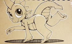 Size: 1280x791 | Tagged: safe, artist:gsphere, spike, dragon, g4, claws, cute, male, monochrome, solo, spikabetes, traditional art