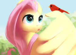 Size: 3008x2160 | Tagged: safe, artist:obsidelle, fluttershy, bird, cardinal, pegasus, pony, g4, :o, bust, female, high res, looking at something, mare, open mouth, solo, turned head, wing hands