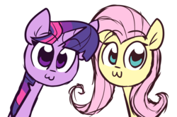 Size: 1280x850 | Tagged: safe, artist:lilboulder, fluttershy, twilight sparkle, pegasus, pony, g4, :3, bust, cute, duo, female, looking at you, mare, pop team epic, shyabetes, simple background, smiling, twiabetes, white background