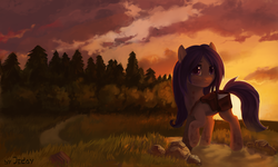 Size: 2500x1500 | Tagged: safe, artist:jedayskayvoker, oc, oc only, earth pony, pony, backpack, bag, commission, dirty, female, field, forest, mare, saddle bag, scenery, solo, stain, sunset